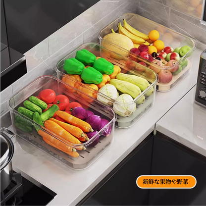 送料無料　2点セット　フルーツ弁当箱　ピクニック　アウトドア　　3269