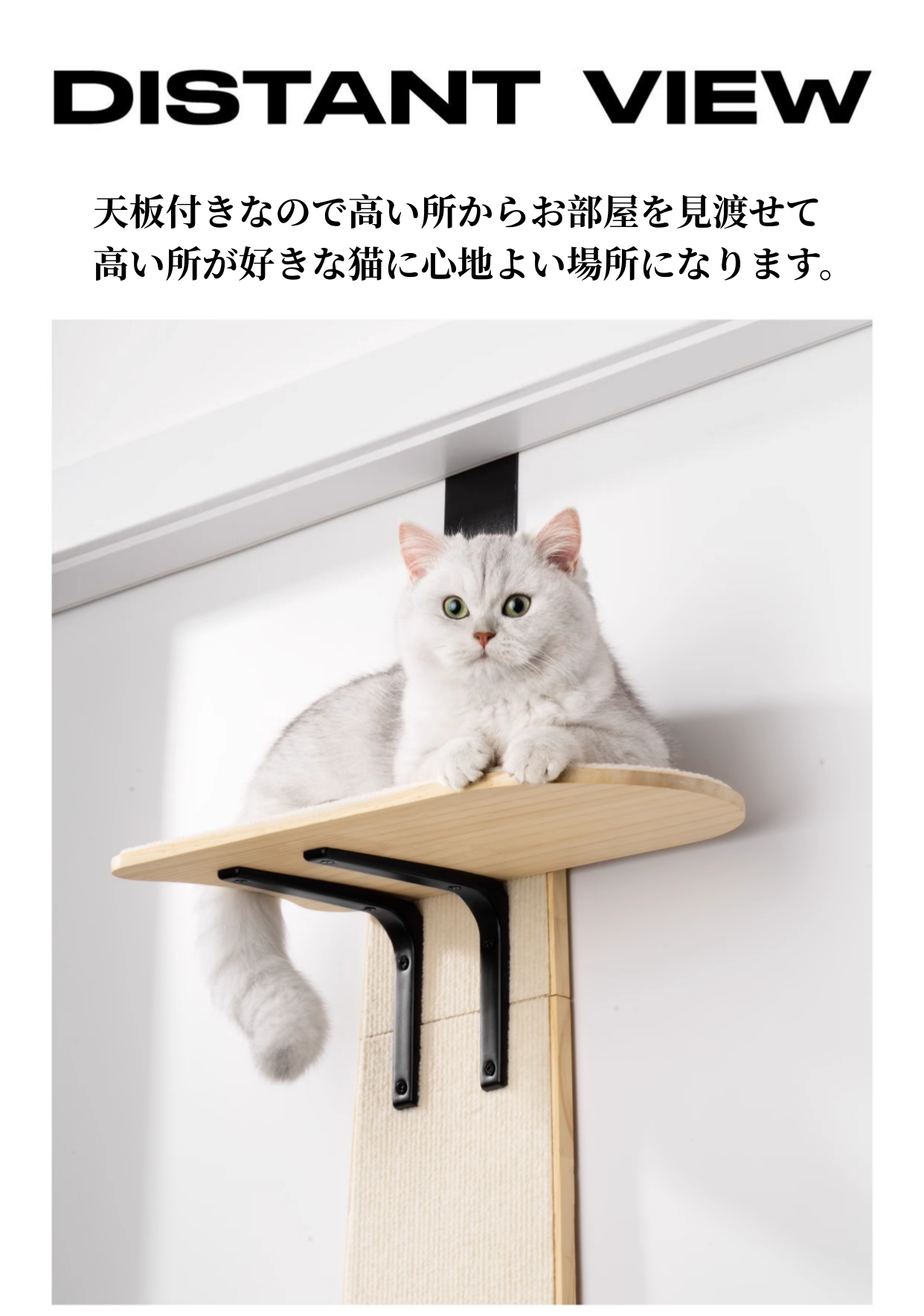 キャットステップ 木製 ドア掛け キャットタワー 賃貸 ドア スリム 猫タワー 省スペース 吊り下げ キャットウォーク コンパクト  3315