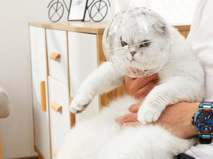 通気性のある猫の銃口マスク透明なスペースフードグルーミング用の猫のフードマスクカバー　3319