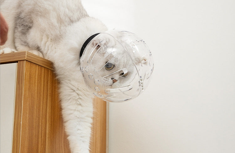 通気性のある猫の銃口マスク透明なスペースフードグルーミング用の猫のフードマスクカバー　3319