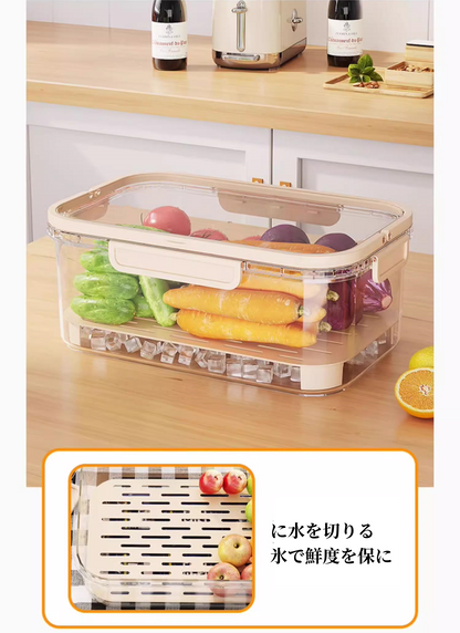 送料無料　2点セット　フルーツ弁当箱　ピクニック　アウトドア　　3269