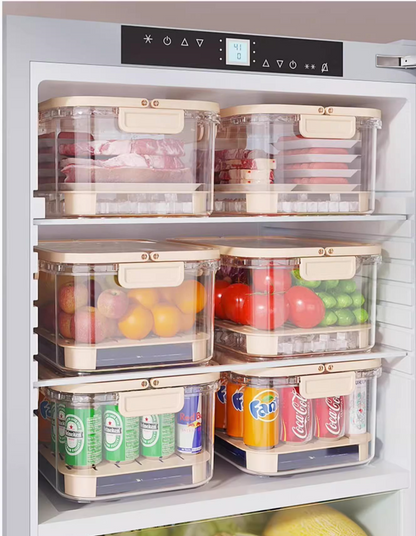 送料無料　2点セット　フルーツ弁当箱　ピクニック　アウトドア　　3269