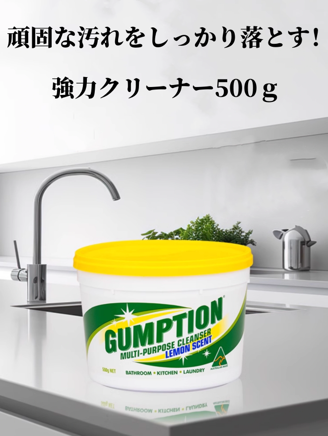 送料無料　注目商品　強力クリーナー　　500ｇ　　3208