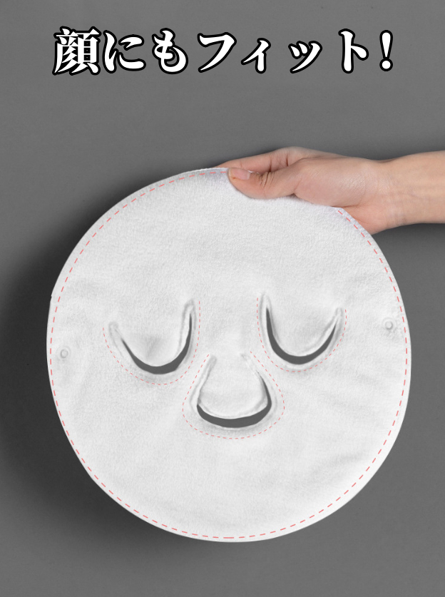 送料無料　3点セット　フェスパック　繰り返し利用タイプ　3202